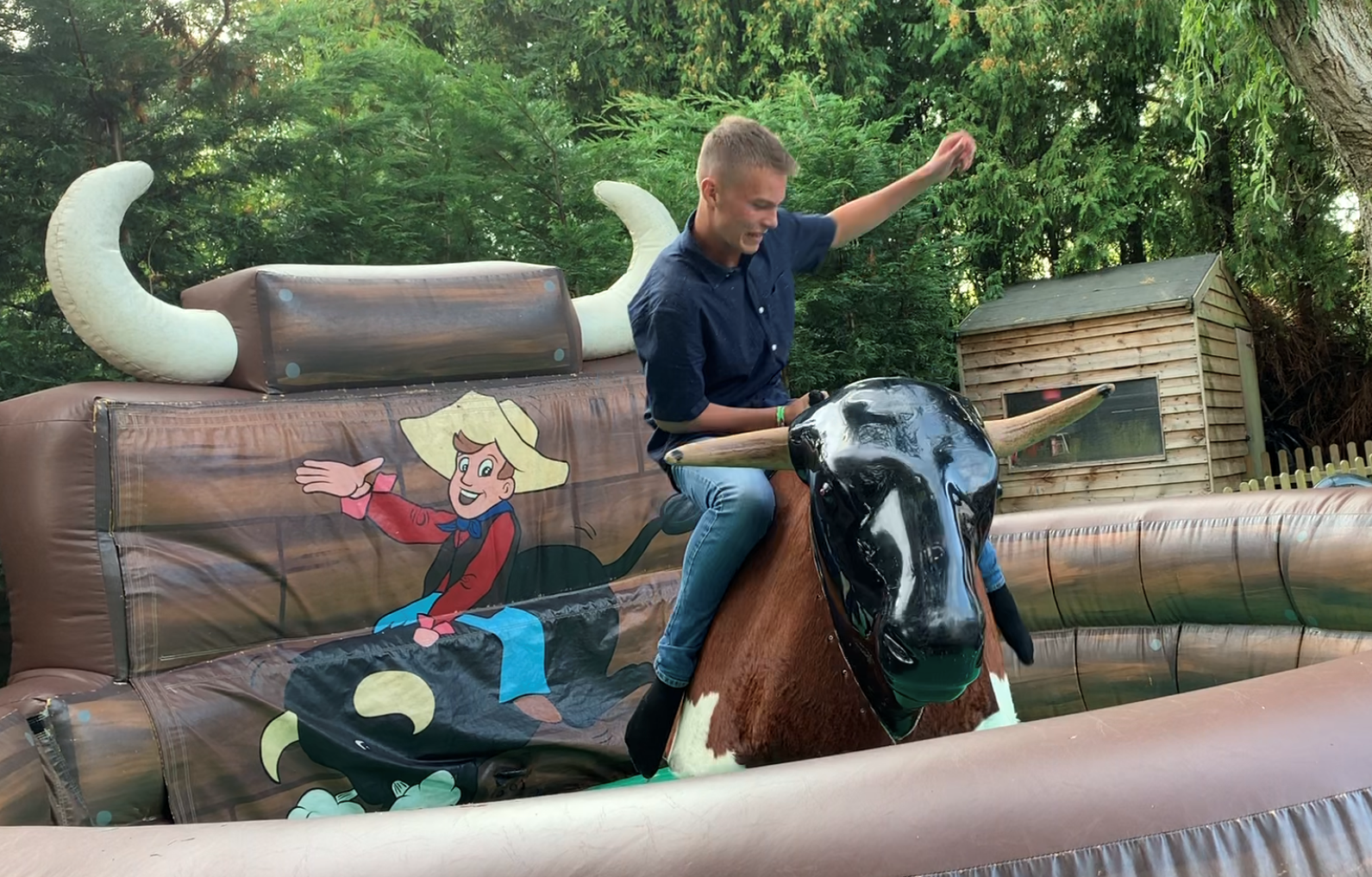 rodeo bull hire rodeo bull hire